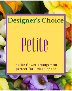 Designer\'s Choice - Petite Arrangement